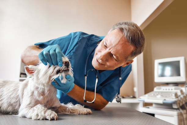 Best Emergency Tooth Extraction  in Garrison, MD